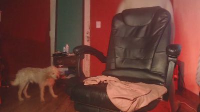 maturestar3 live from Argentina