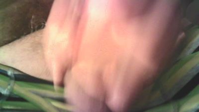 meowky live from Canada