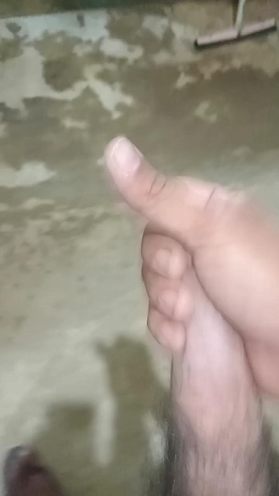 nOVO3357 live from Brazil