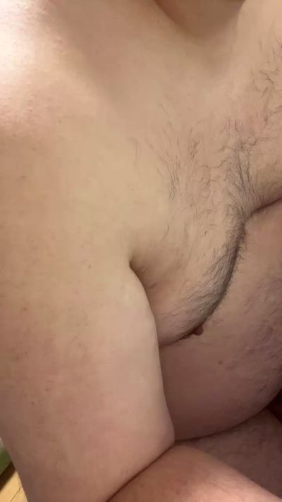 north00bear live from Japan