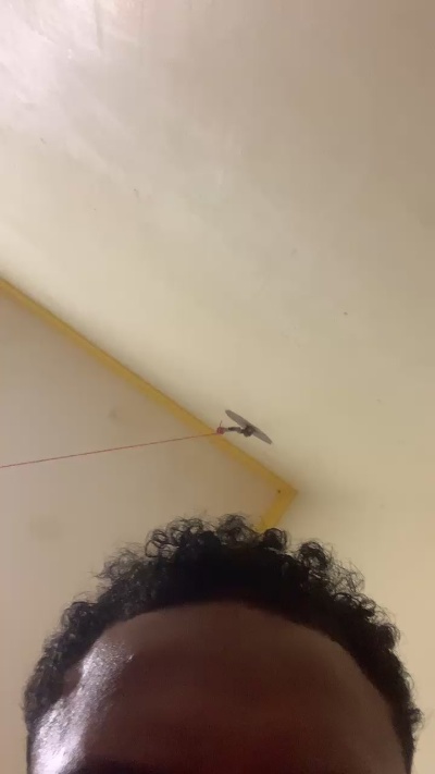 novindot20cm_ live from Brazil