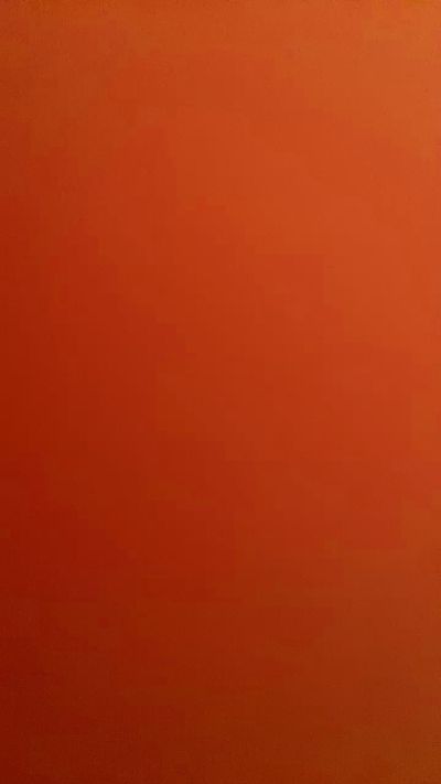 ositosumis live from Chile