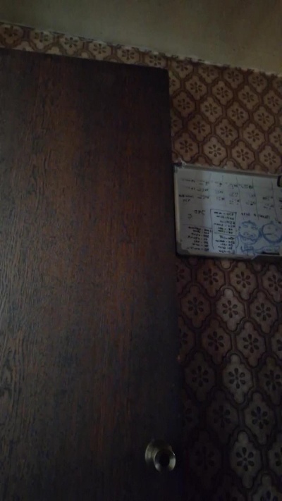 oso4fun live from Chile