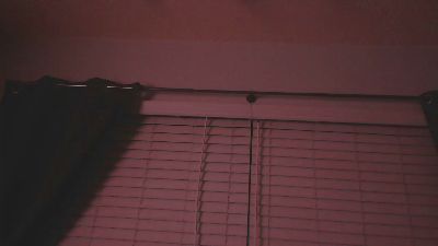 peanut1231 live from United States