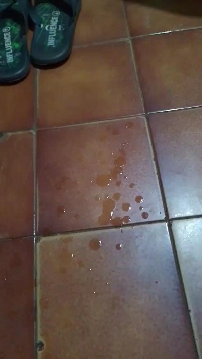 piaosexy live from Brazil