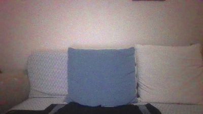 pigeon1111 live from United States