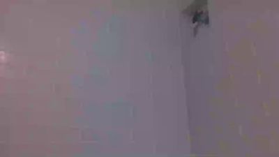 readyforyouxxx live from United States