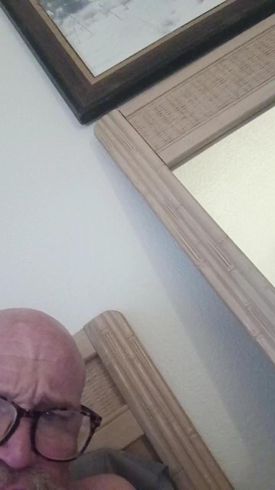 ripdogred3 live from United States