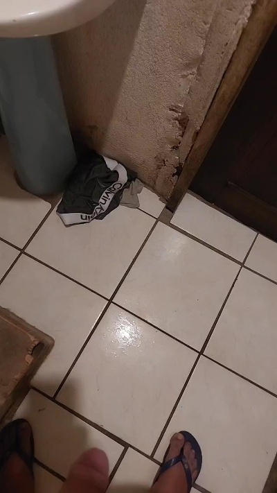 santacatarina1 live from Brazil