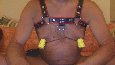 saubear2 live from Germany