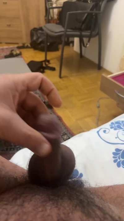 schwanzcam64 live from Germany