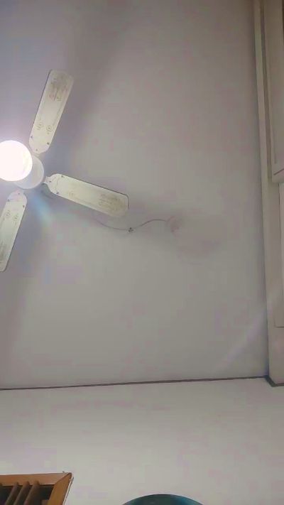 shaggyvery live from Italy