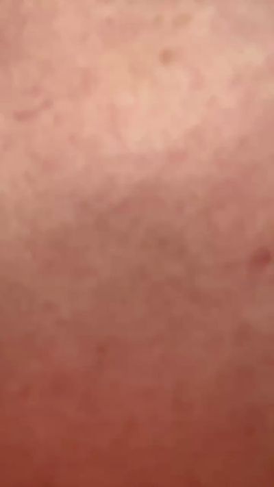 sin1979 live from Japan