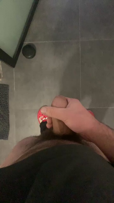 zelek2 live from Belgium